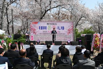 2023년 대흥동 테미봄꽃축제